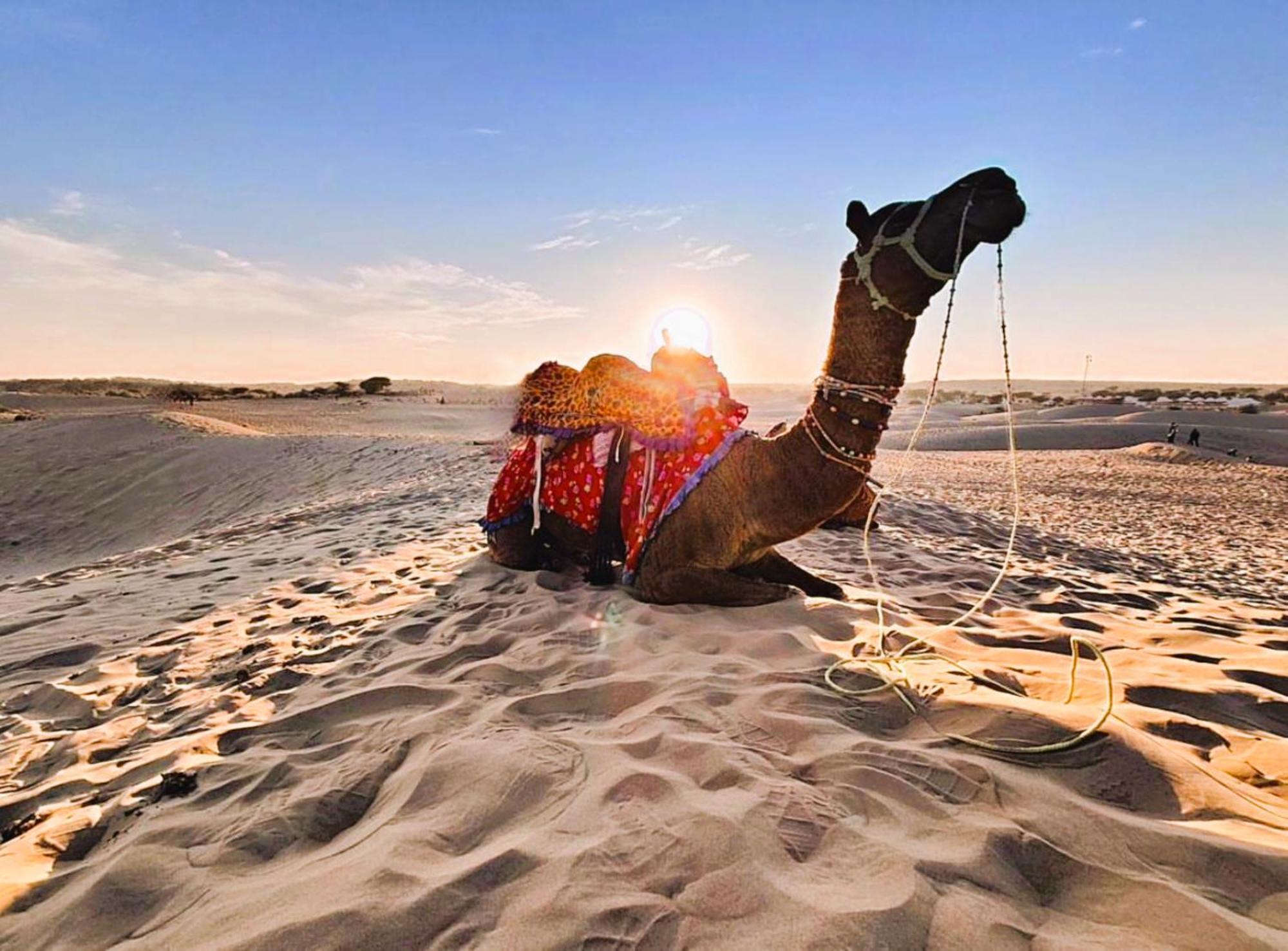 Jaisalmer Sand Dunes Luxury Camp And Resort Dış mekan fotoğraf