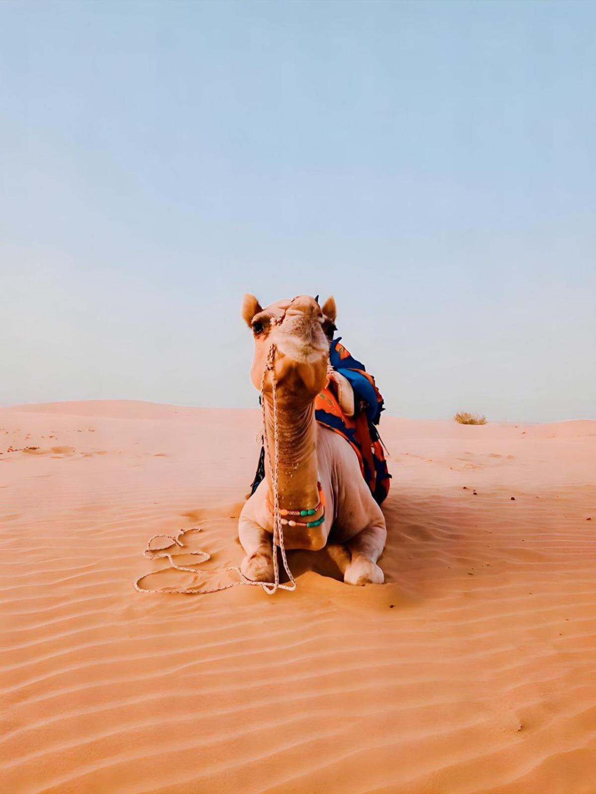 Jaisalmer Sand Dunes Luxury Camp And Resort Dış mekan fotoğraf